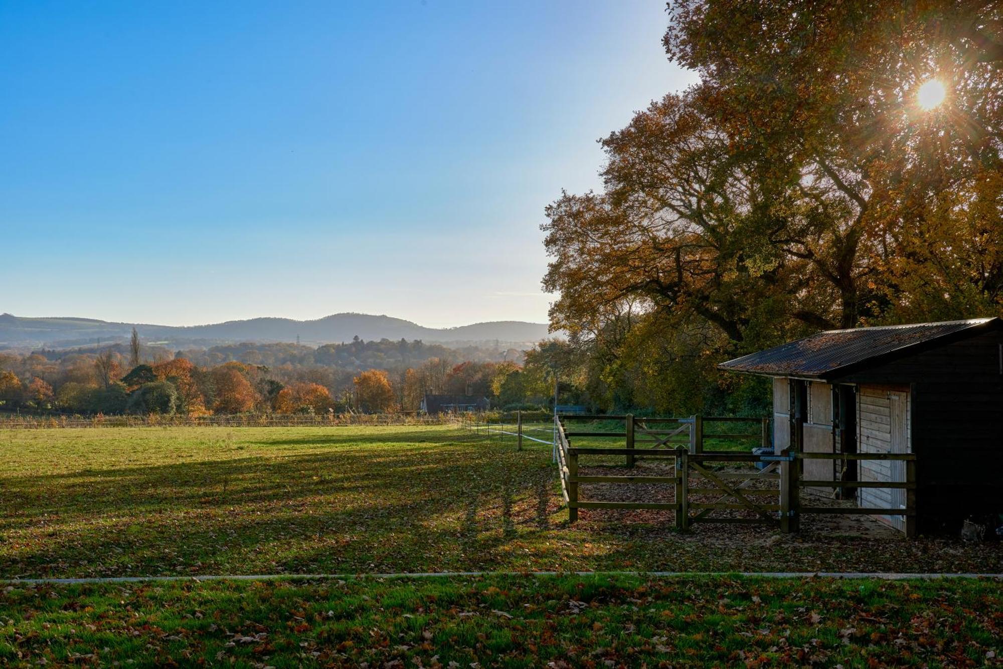 Stunning Cabin With Incredible Views Near Goodwood Rogate Exterior foto