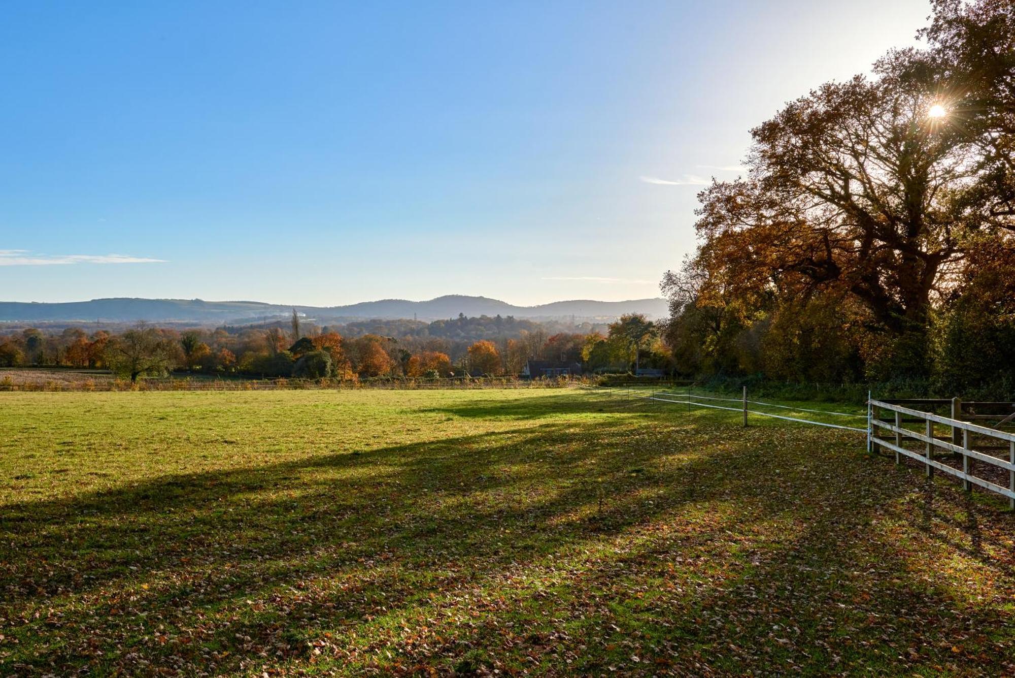 Stunning Cabin With Incredible Views Near Goodwood Rogate Exterior foto