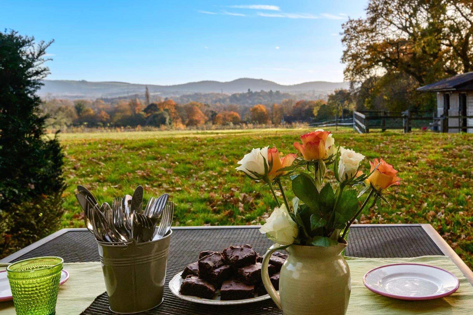 Stunning Cabin With Incredible Views Near Goodwood Rogate Exterior foto